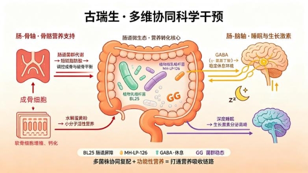 跳出单一进补误区：多维协同，古瑞生益生菌构建儿童成长科学干预新思路 