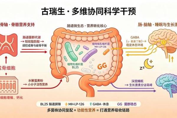 跳出单一进补误区：多维协同，古瑞生益生菌构建儿童成长科学干预新思路 