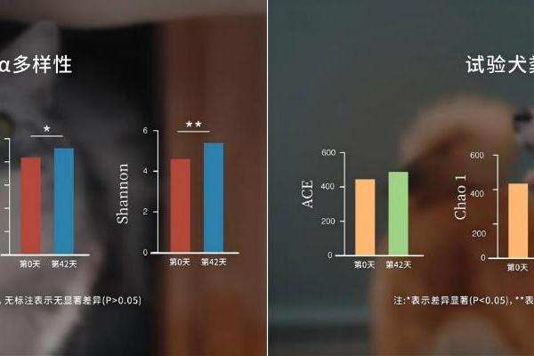 从新鲜可鉴到科学实证，鲜朗持续为中国宠食产业提供“新鲜样本” 