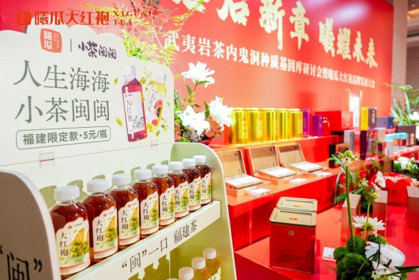 守一脉基因，传百年茶香：曦瓜内鬼洞种质保护的长期主义答卷 