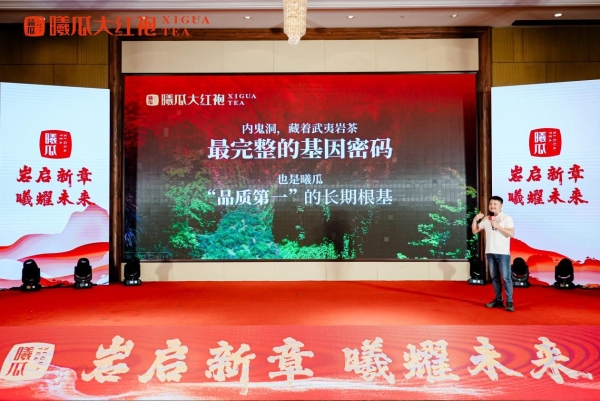 守一脉基因，传百年茶香：曦瓜内鬼洞种质保护的长期主义答卷 