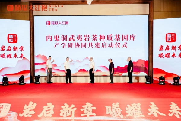 守一脉基因，传百年茶香：曦瓜内鬼洞种质保护的长期主义答卷 
