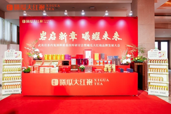 守一脉基因，传百年茶香：曦瓜内鬼洞种质保护的长期主义答卷 