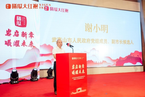 守一脉基因，传百年茶香：曦瓜内鬼洞种质保护的长期主义答卷 