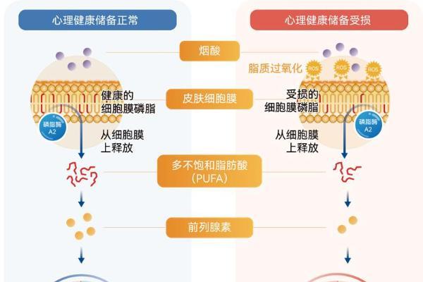 精神心理风险客观评估新手段：添音生物新一代皮肤烟酸反应测试仪二类获批！NSR产品体系正持续升级 