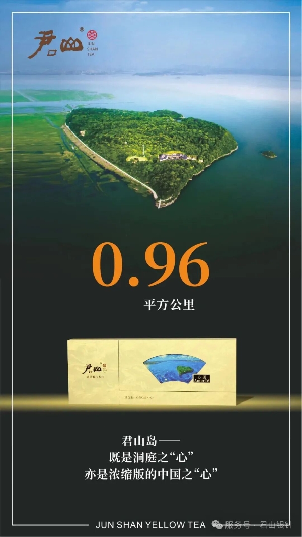 君山黄茶轻压茶体验—热水一冲，30秒还原完整芽叶 