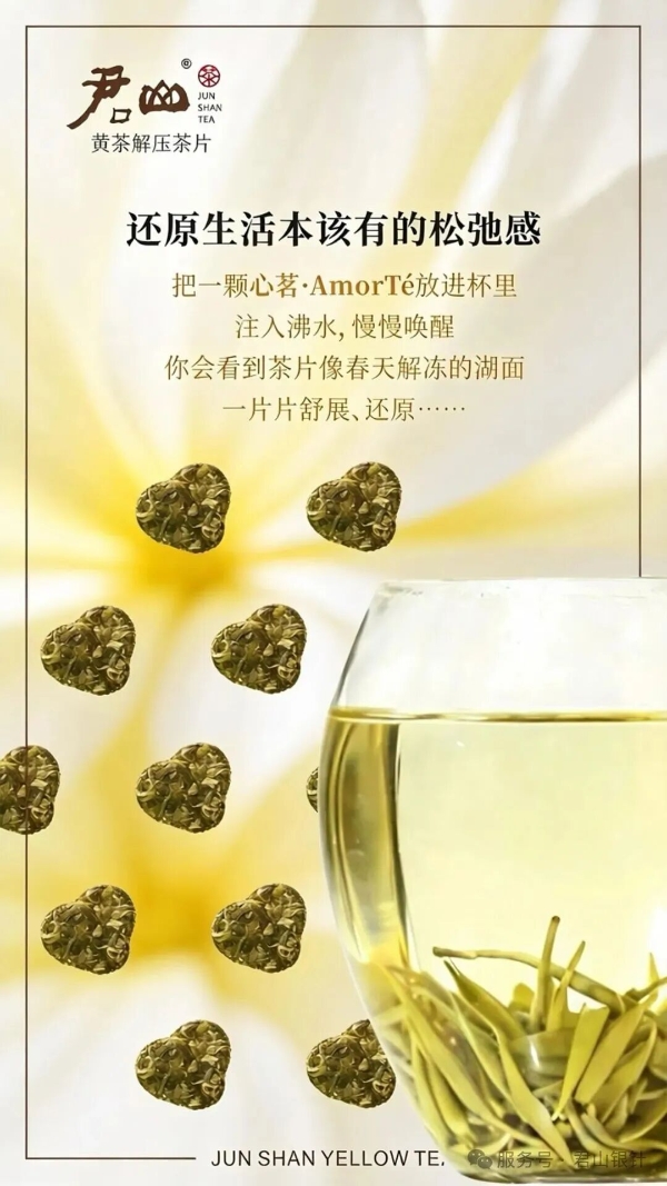君山黄茶轻压茶体验—热水一冲，30秒还原完整芽叶 