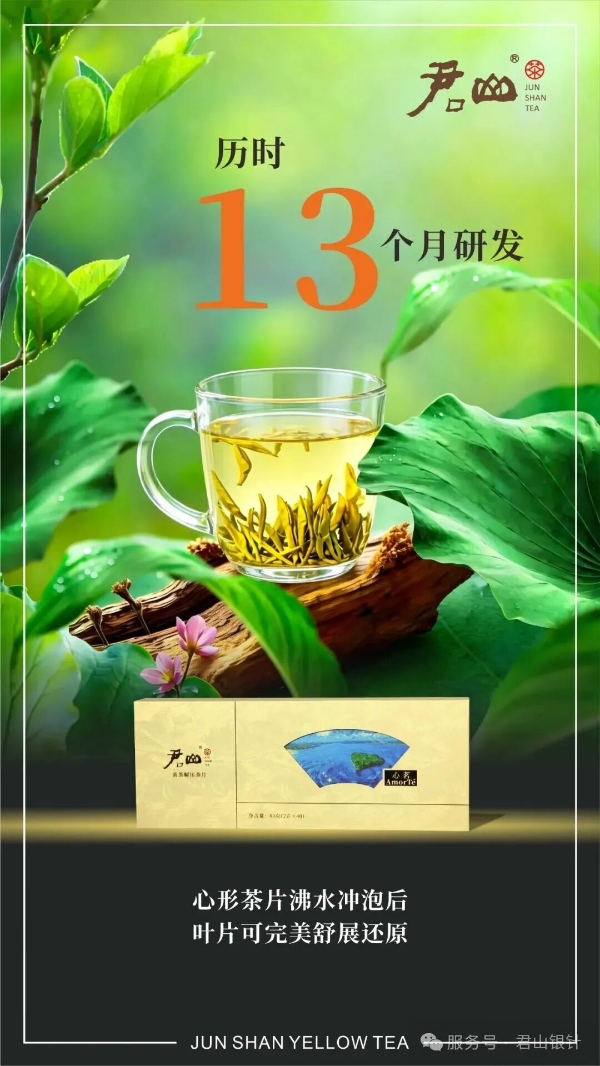 君山黄茶轻压茶体验—热水一冲，30秒还原完整芽叶 