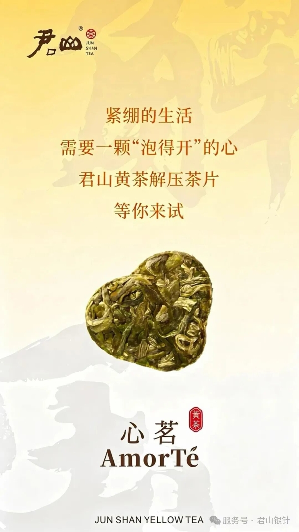 君山黄茶轻压茶体验—热水一冲，30秒还原完整芽叶 