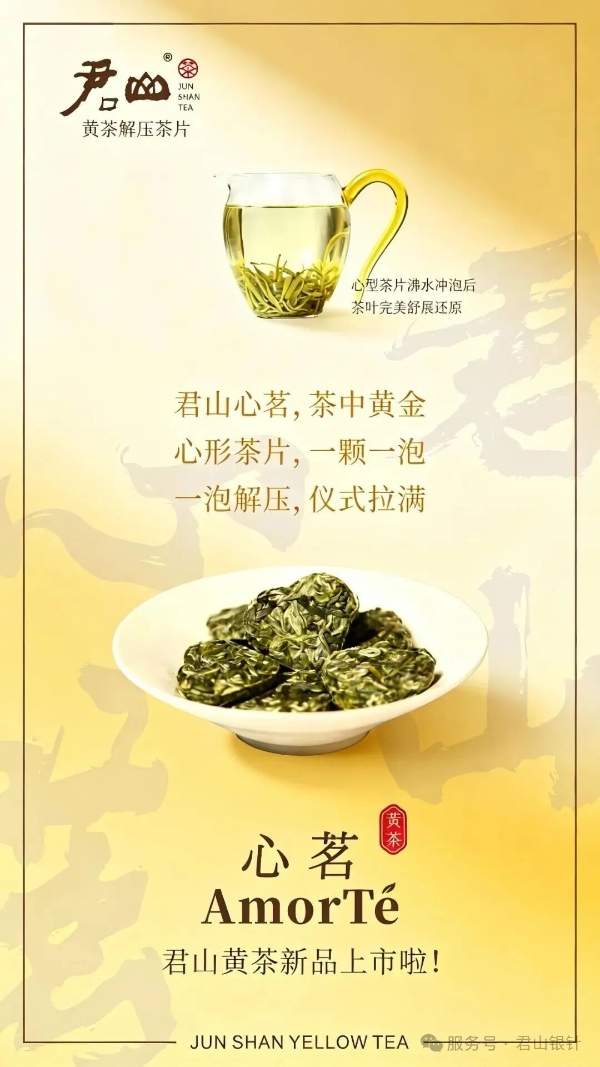 君山黄茶轻压茶体验—热水一冲，30秒还原完整芽叶 