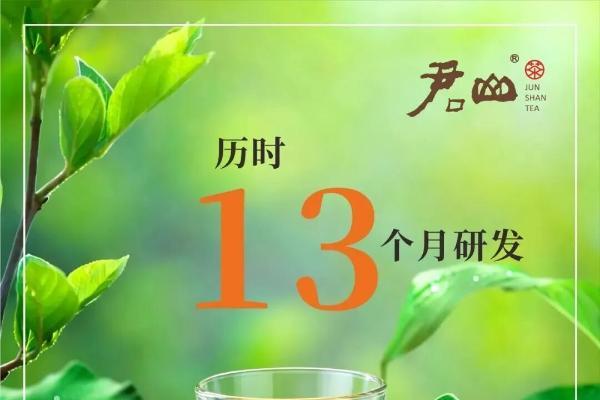 君山黄茶轻压茶体验—热水一冲，30秒还原完整芽叶 