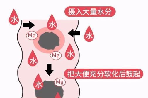 便秘反反复复不好？别慌！科学调理双管齐下，温和护肠更长效 