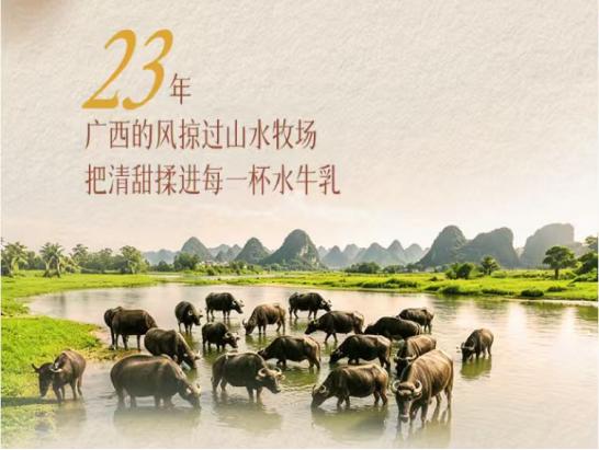 百菲乳业23周年：一杯水牛奶，沉淀二十三载初心与陪伴 