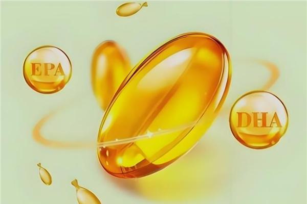 提高记忆力dha哪个牌子的好？2026十大dha品牌选购指南 