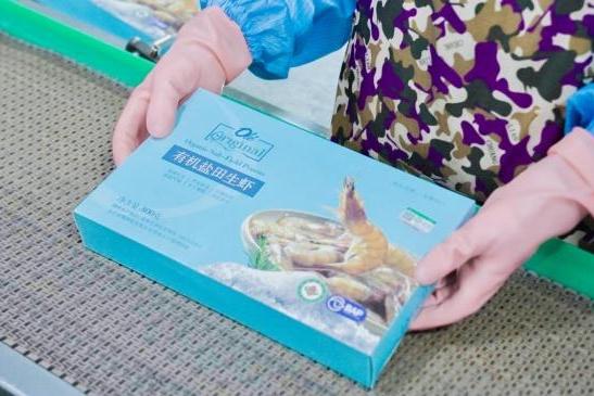 Olé盐田虾养殖基地正式挂牌，全链路品控加速有机消费日常化 
