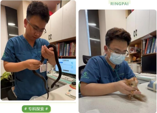 对话瑞派宠物医生：小众赛道上的执着坚守，为生命科学“兜底” 