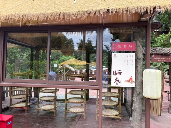 央视镜头定格威海：非遗工坊落户古村，环翠楼红参氤氲山乡慢时光 