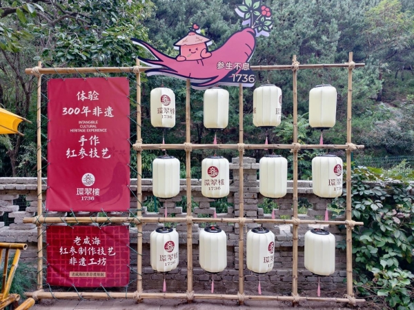 央视镜头定格威海：非遗工坊落户古村，环翠楼红参氤氲山乡慢时光 