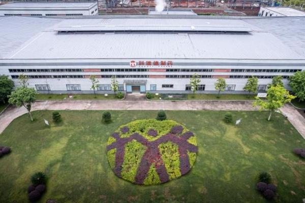 2026心理健康与医学营养食品白皮书：科瑞德以循证实践推动医学营养食品产业落地 