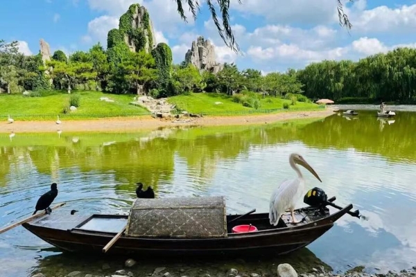 秋启大兴！首届研学旅游推介会启幕，葡萄季精品游玩线路全新发布 