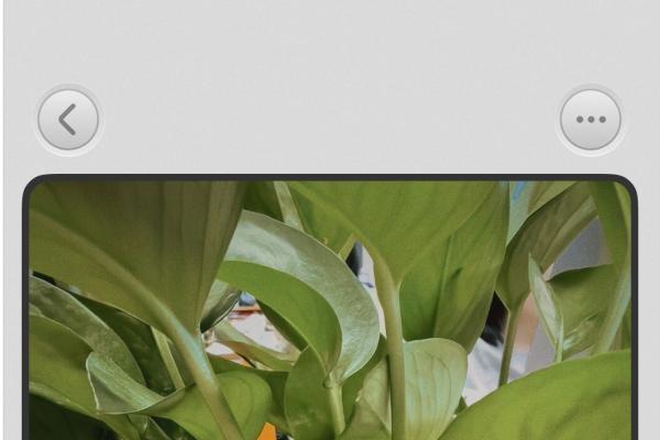 鸿蒙版美图秀秀，这次狠狠拿捏了女生的心 