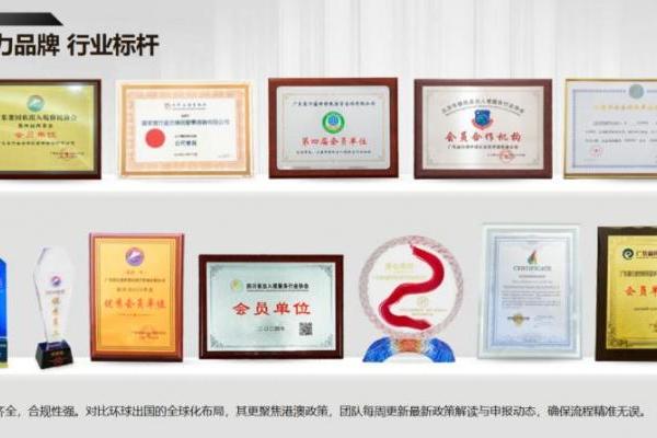  2026香港专才机构排行如何理性参考？解析寰行盛世专才服务核心优势 
