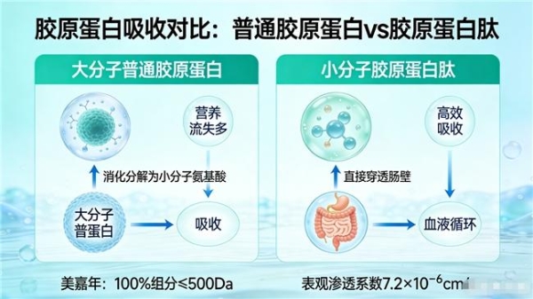 胶原蛋白肽别只看“多少毫克”，配料表第一位才是很多人忽略的关键 