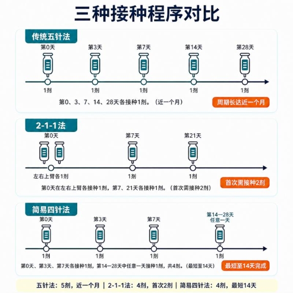 从细胞基质到接种程序：狂犬病疫苗技术路线的全面解析与指南解读 
