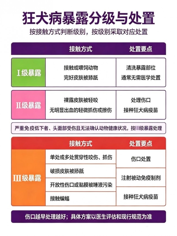 从细胞基质到接种程序：狂犬病疫苗技术路线的全面解析与指南解读 