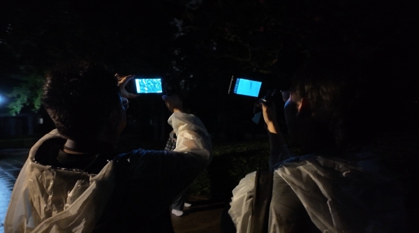 树上真住着北鹰鸮？一群自然爱好者带着热成像仪揭开了公园的夜 