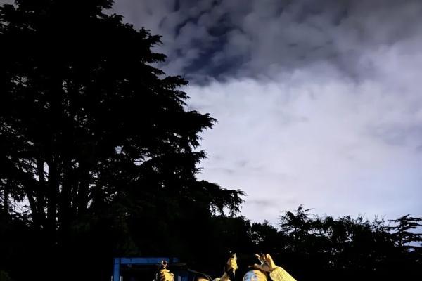 树上真住着北鹰鸮？一群自然爱好者带着热成像仪揭开了公园的夜 