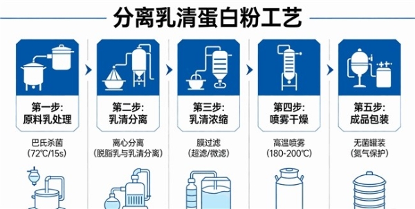 从浓缩乳清到分离乳清，如何选择合适的蛋白粉品牌