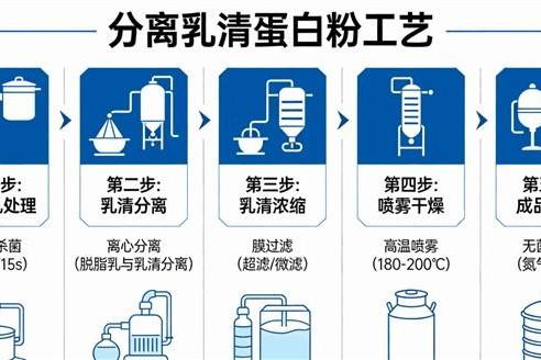 从浓缩乳清到分离乳清，如何选择合适的蛋白粉品牌