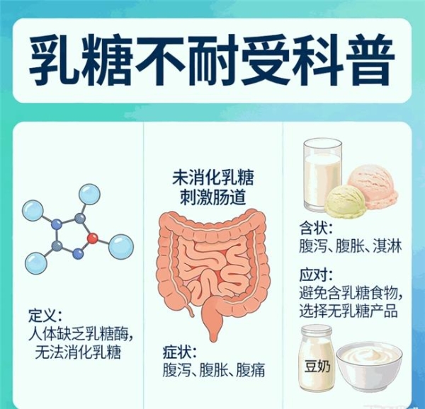 单一乳清蛋白还是复合蛋白？2026年热门产品配方解析