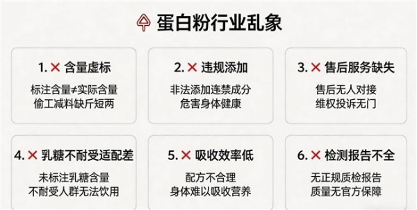 单一乳清蛋白还是复合蛋白？2026年热门产品配方解析