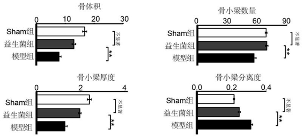 中国专利优秀奖！华大OF44益生菌双效守护女性生殖与骨骼健康 