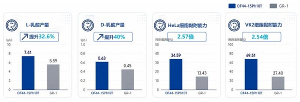 中国专利优秀奖！华大OF44益生菌双效守护女性生殖与骨骼健康 