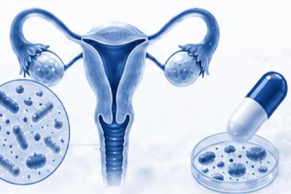 中国专利优秀奖！华大OF44益生菌双效守护女性生殖与骨骼健康 