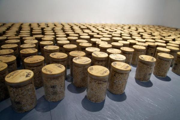 杨烨炘《扔黄金大米的人》登陆上海M50，回望威尼斯双年展公共艺术实践 