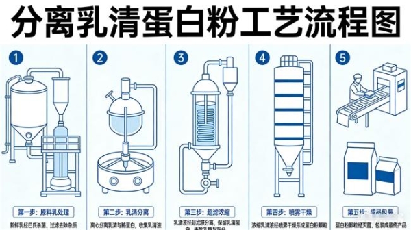 晚上健身后喝什么蛋白粉？2026夜间训练补充场景榜 