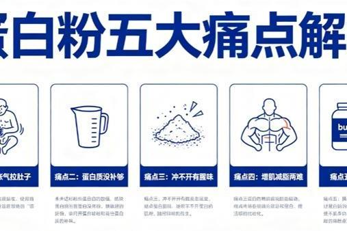 中国市场主流蛋白粉品牌：口碑好、性价比高的有哪些 