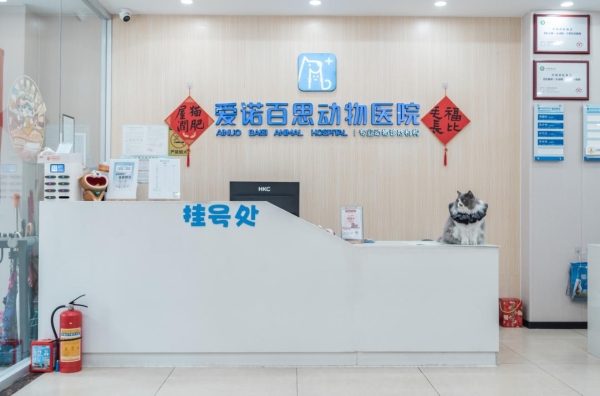 新瑞鹏开展国内首例犬心基部肿瘤双侧肺动脉分支支架扩张手术