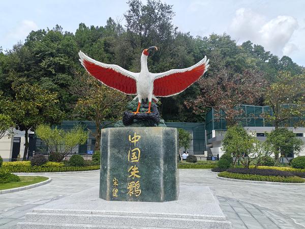“歌起秦巴 乐动汉中”2026陕南民歌节启幕，湾区媒体达人共赴民歌之约