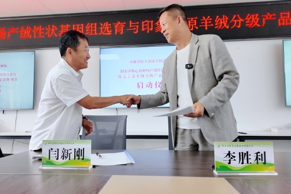 印象草原羊绒分级产品研发X国家羊优质基因培育合作项目正式启动！ 