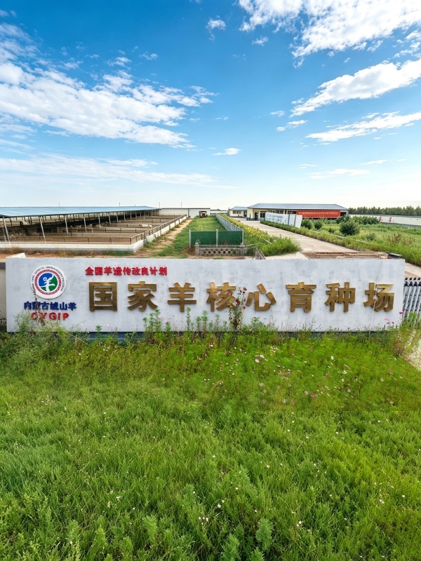 印象草原羊绒分级产品研发X国家羊优质基因培育合作项目正式启动！ 