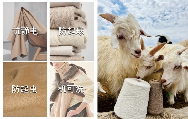 印象草原羊绒分级产品研发X国家羊优质基因培育合作项目正式启动！ 