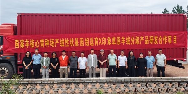 印象草原羊绒分级产品研发X国家羊优质基因培育合作项目正式启动！ 