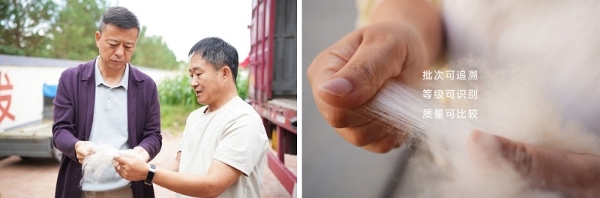 印象草原羊绒分级产品研发X国家羊优质基因培育合作项目正式启动！ 