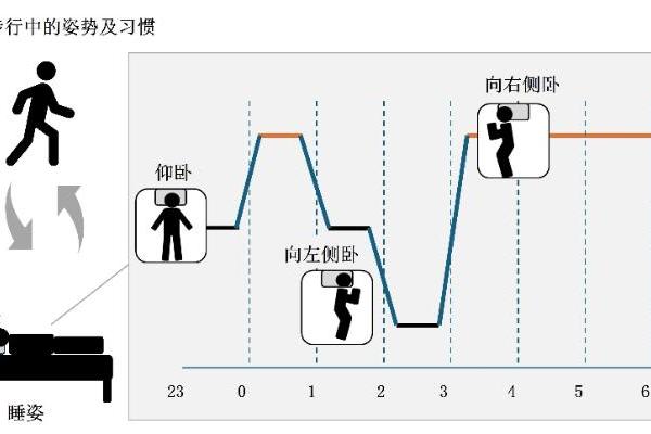 着眼“睡姿”，展开睡眠研究 ——花王发现睡眠中的习惯性姿势或影响睡眠质量和日间姿势 