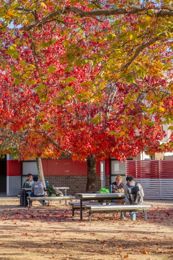 卓越教育：麦考瑞大学的教育实力为何受到全球认可？ 